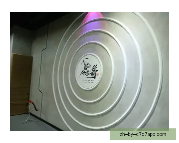 飞盘娱乐无极限：新玩法、新技巧、新挑战