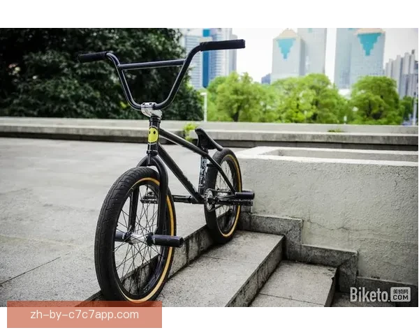 BMX发展过程中的重要里程碑及影响力分析