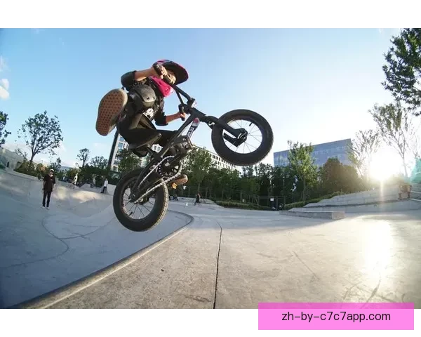 BMX排名揭晓：挑战极限，赢得荣耀