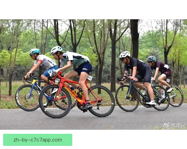 山地车积分赛事排名盘点：谁将夺得桂冠？