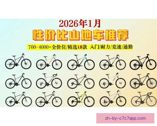 山地车排名揭晓！