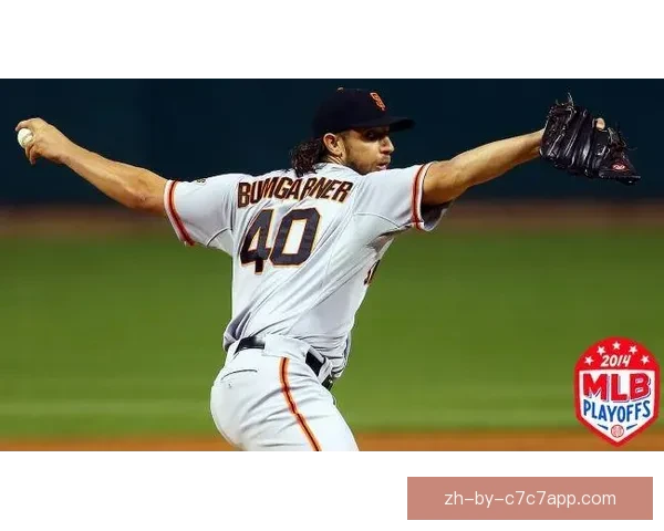 探秘棒球盛事：全新赛季挑战与荣耀