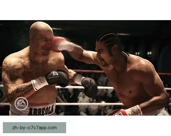 拳击积分榜：揭秘世界冠军之路