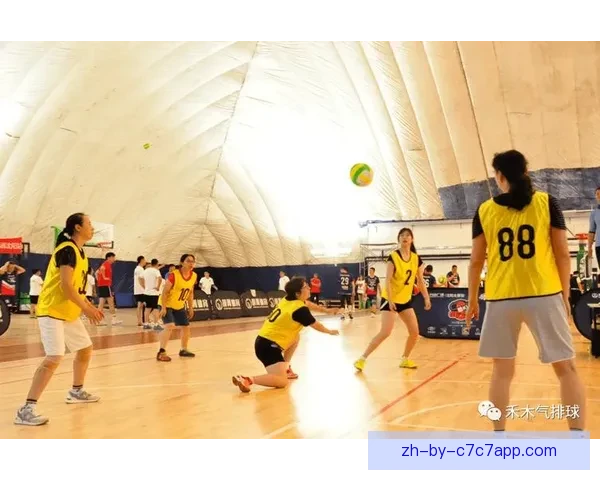 排球训练新思路:技巧提升、团队合作、身体素质全方位训练 排球训练新思路:技巧提升、团队合作、身体素质全方位训练
