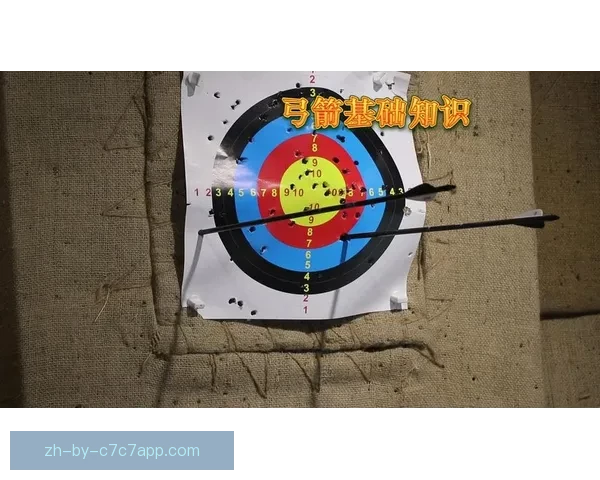 现代射箭运动规则解析详解