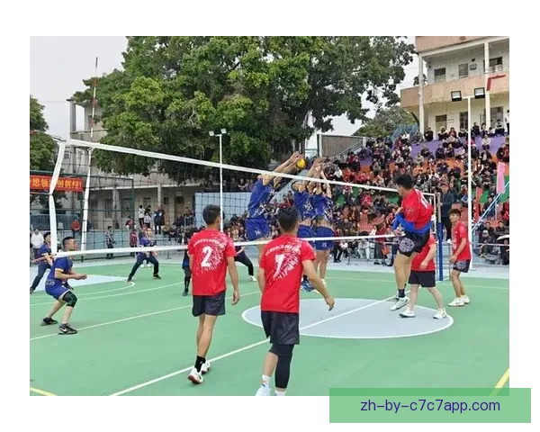 热情澎湃,激情纷飞体育场馆内排球直播现场 热情澎湃,激情纷飞体育场馆内排球直播现场