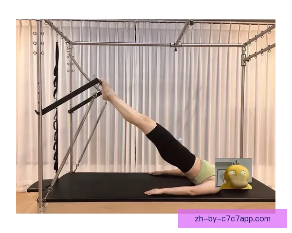 普拉提大奖赛：强者对决，追求完美身体