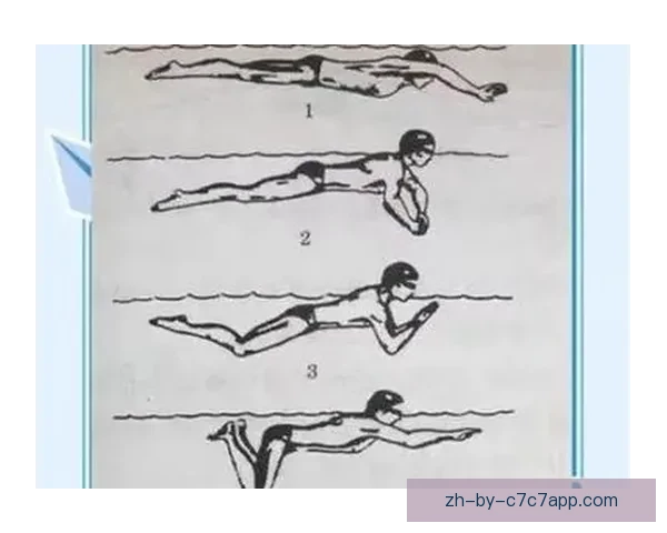 游泳规则解读及技巧分享 游泳规则解读及技巧分享