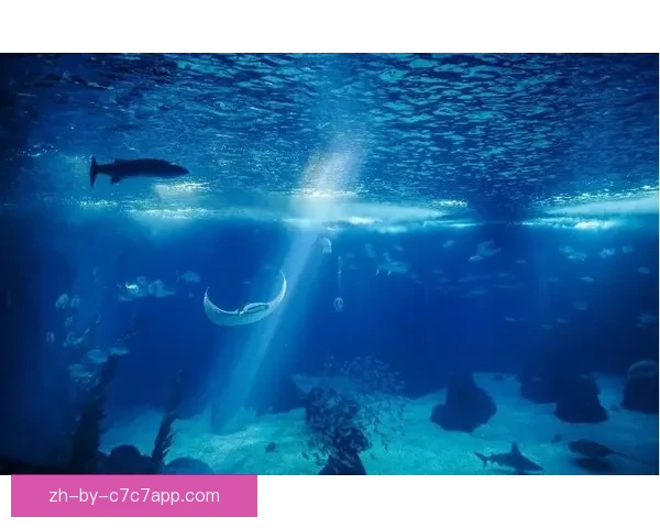 游泳世界纪录大揭秘：最激动人心的纪录背后真相揭秘