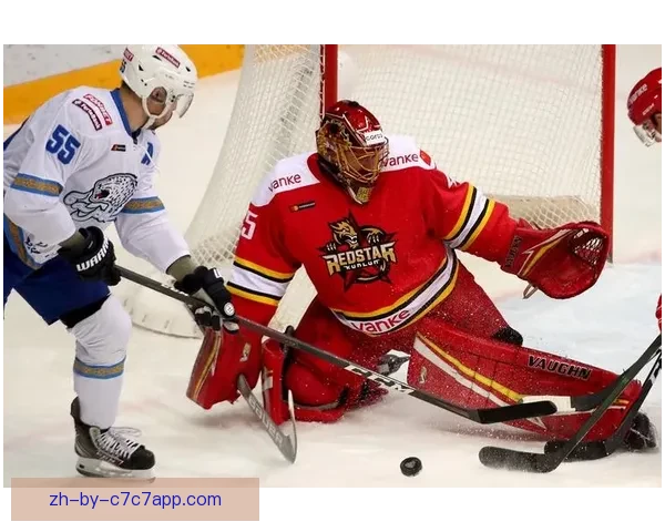 精彩对决！冰球比赛悬念终现胜负，双方奋力拼搏角逐荣誉！