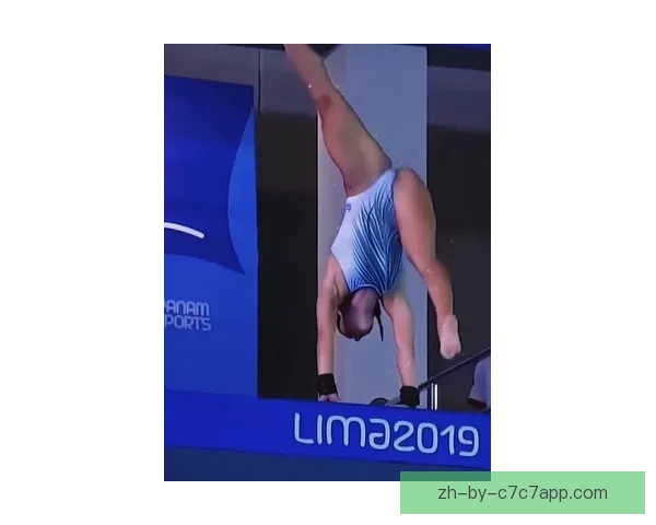 跳水精彩瞬间集锦：巅峰挑战新高度