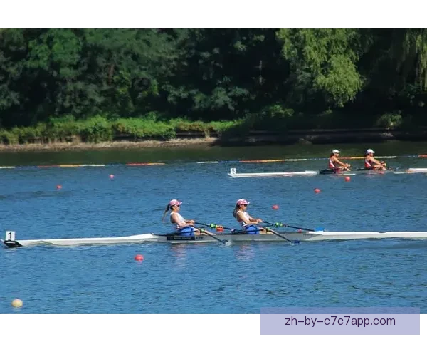 赛艇积分榜：探寻竞技之巅